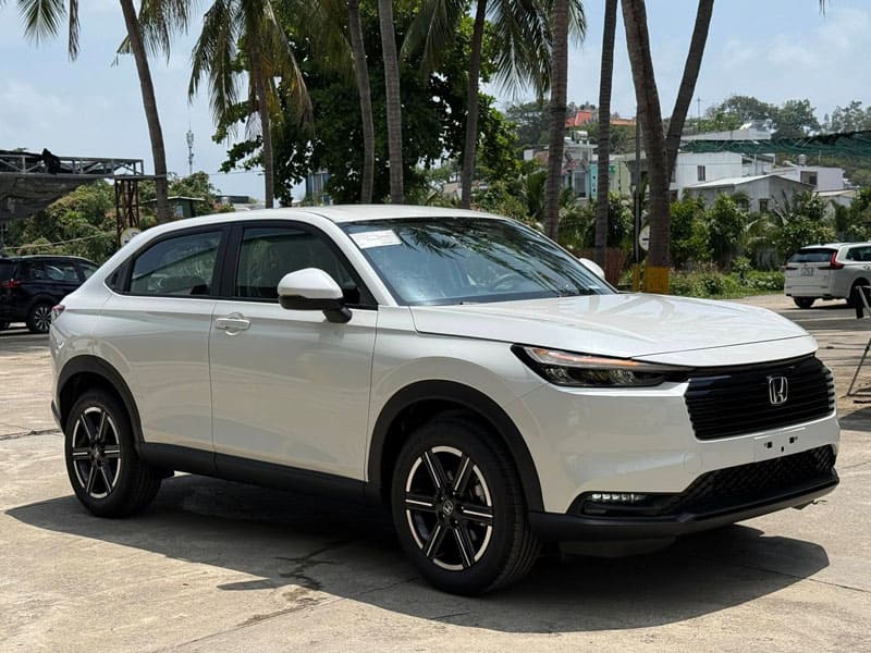 Avatar của Lưu Anh