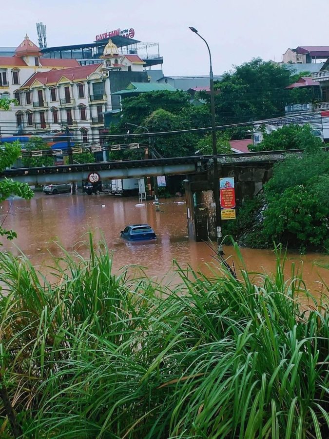 Avatar của Nguyễn phụ thành