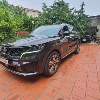 sorento 7 chỗ